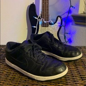 Nike SB Dunk Lux Lows